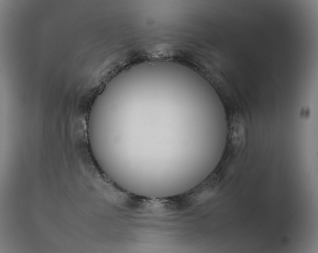 X0000111370523200907171201