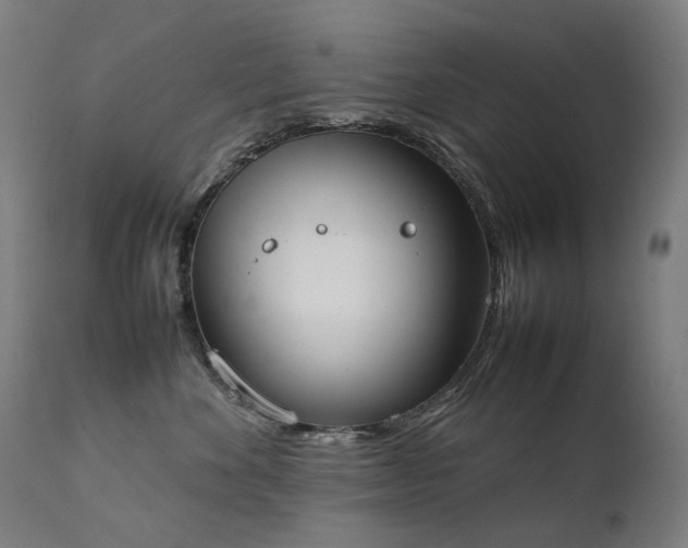 X0000111370524200907171201