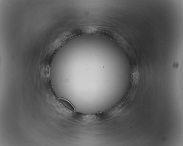 X0000111370525200907171201