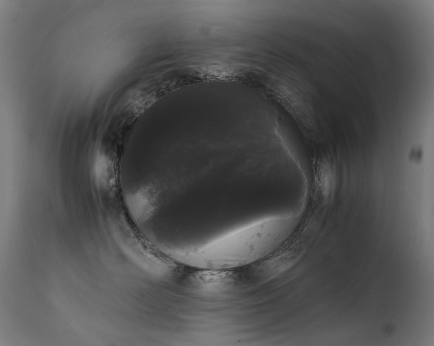 X0000111370526200907171201