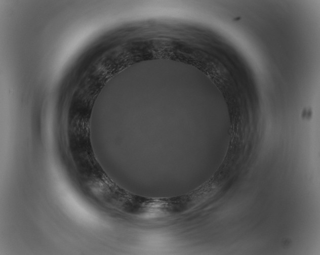 X0000111370527200907171201