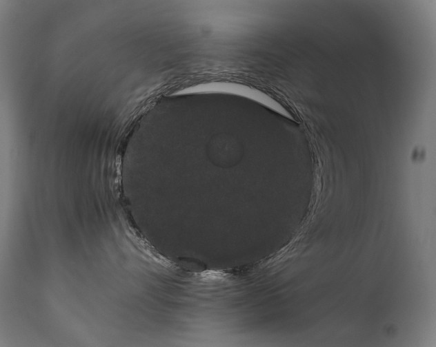 X0000111370528200907171201