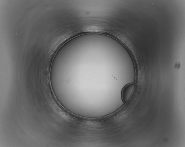 X0000111370529200907171200