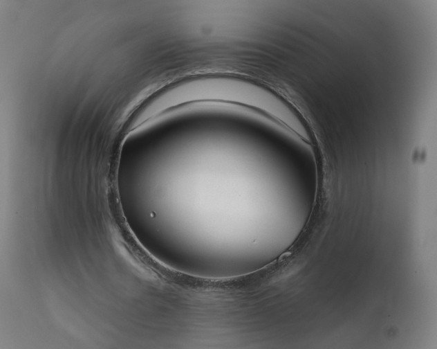 X0000111370530200907171200