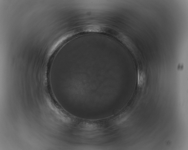 X0000111370531200907171201