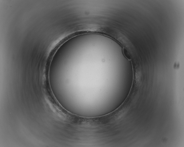 X0000111370532200907171201