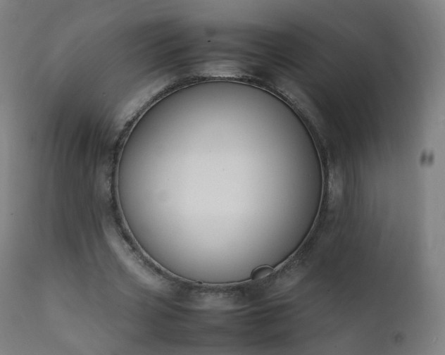 X0000111370533200907171201