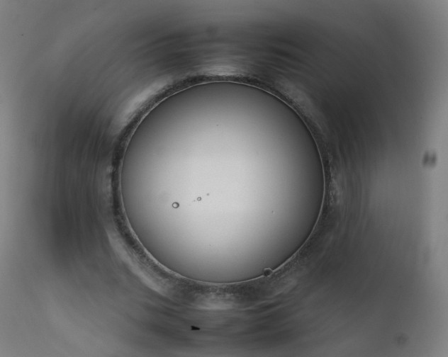 X0000111370535200907171201