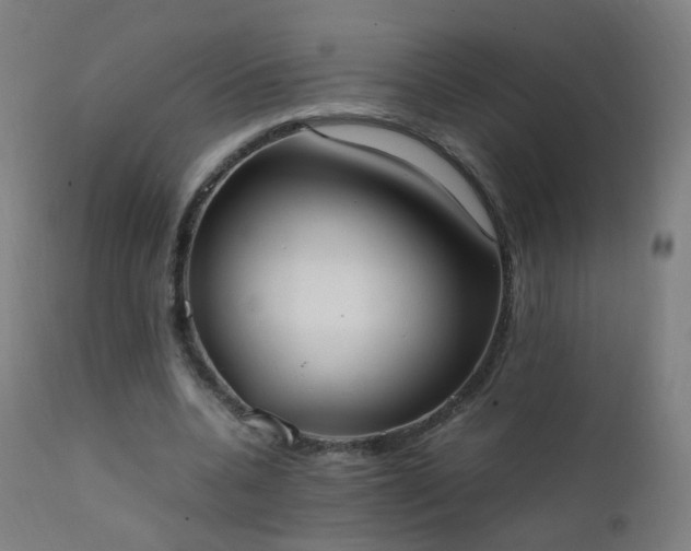 X0000111370536200907171201