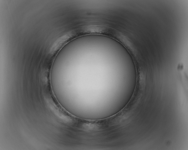 X0000111370537200907171201