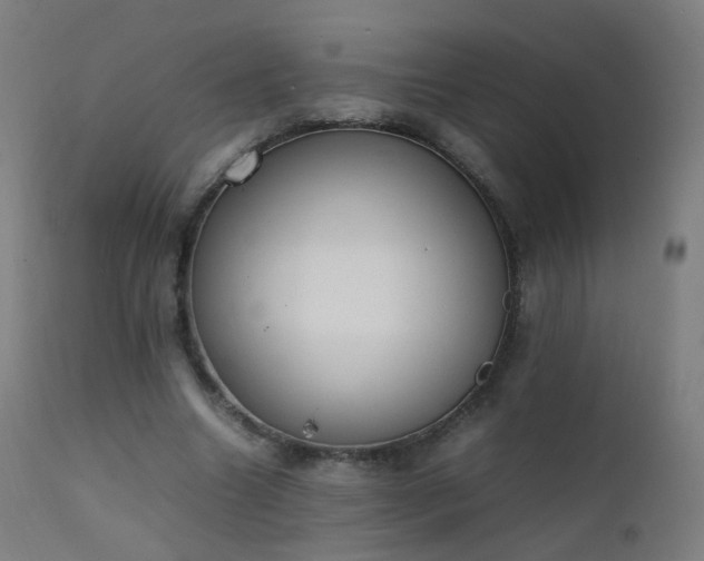 X0000111370538200907171201