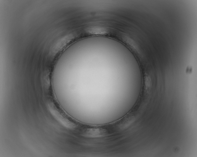 X0000111370541200907171201