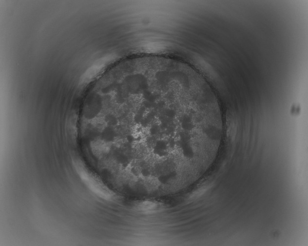 X0000111370542200907171201