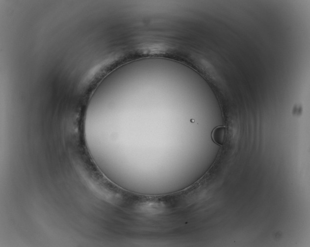 X0000111370543200907171201