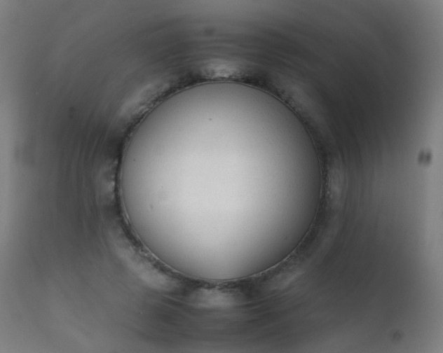 X0000111370545200907171201