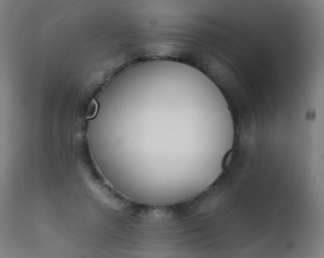 X0000111370546200907171201