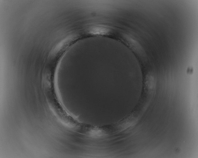 X0000111370547200907171201