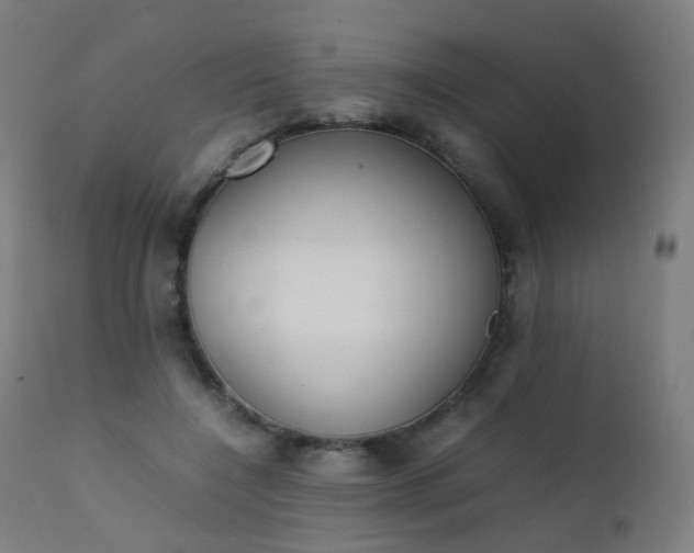 X0000111370548200907171201