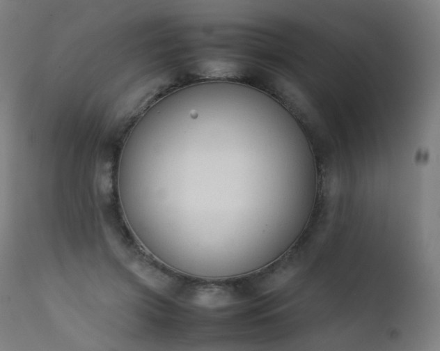 X0000111370549200907171201