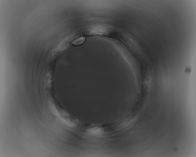 X0000111370551200907171201