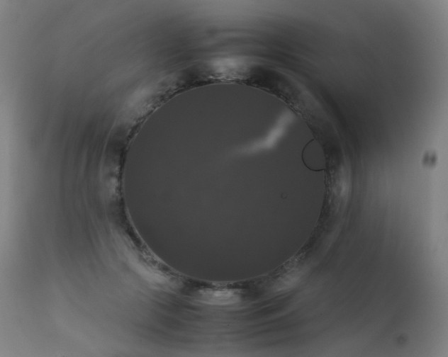 X0000111370553200907171201