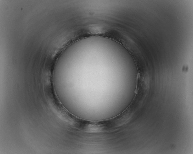 X0000111370556200907171201