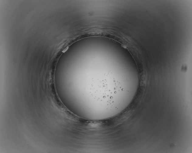 X0000111370560200907171201