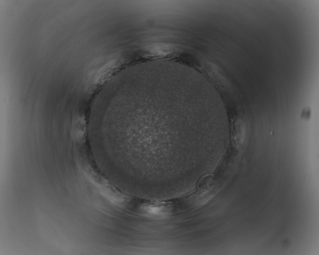 X0000111370563200907171201