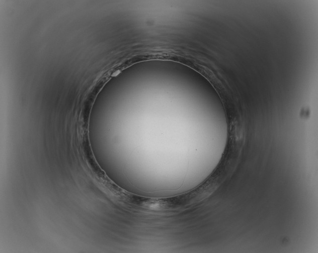 X0000111370564200907171201