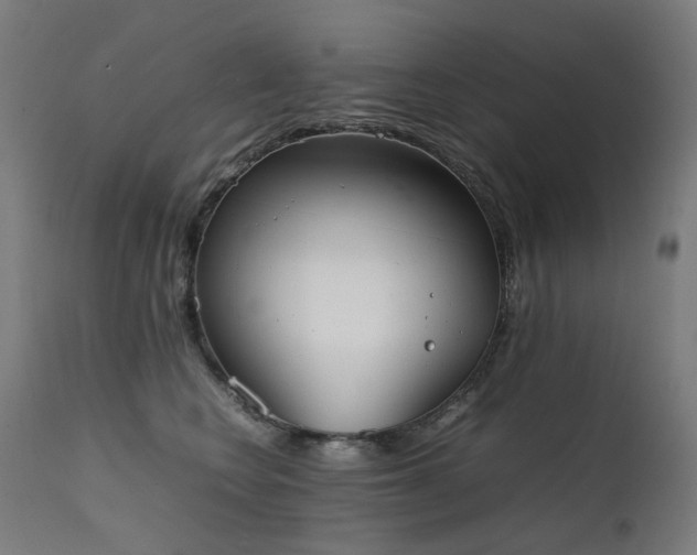 X0000111370566200907171201