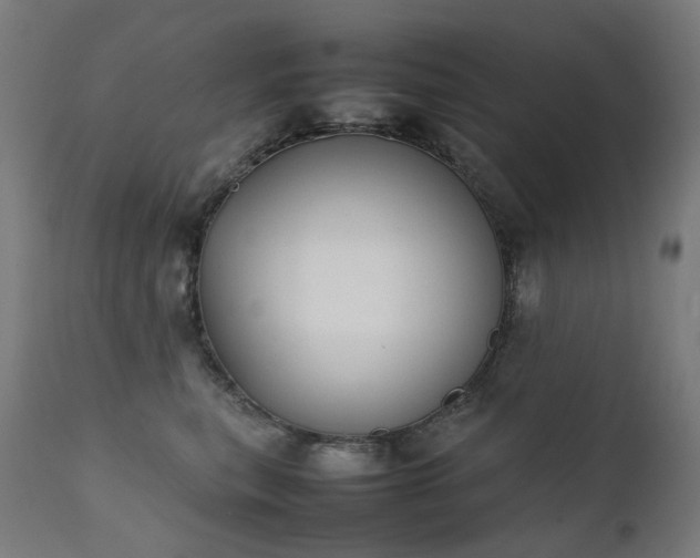 X0000111370567200907171201