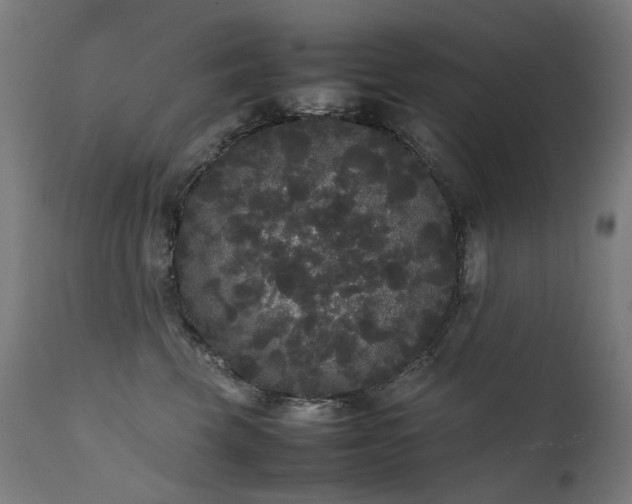 X0000111370569200907171201