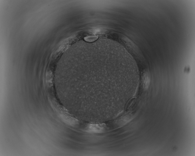 X0000111370571200907171201