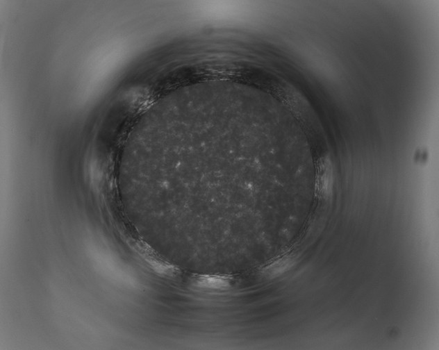 X0000111370573200907171201