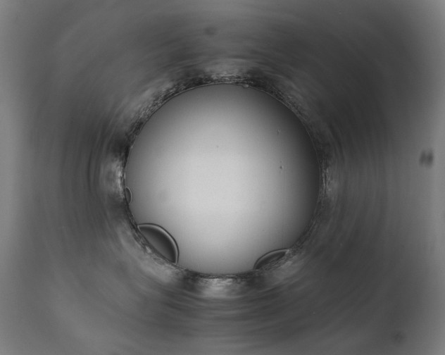 X0000111370575200907171201