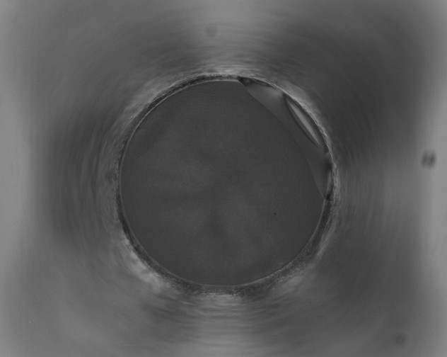 X0000111370577200907171200