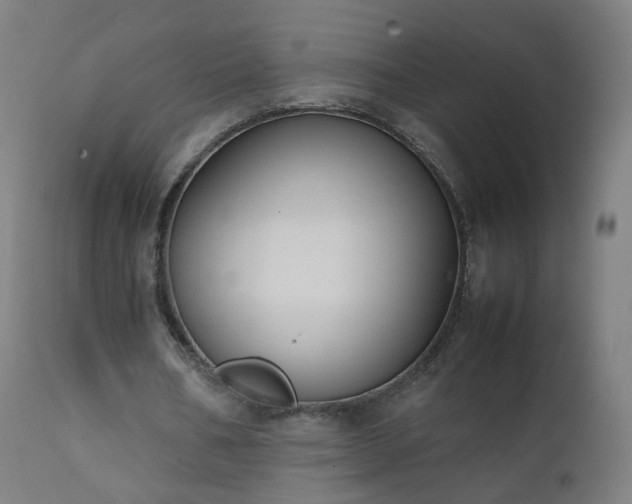 X0000111370578200907171200