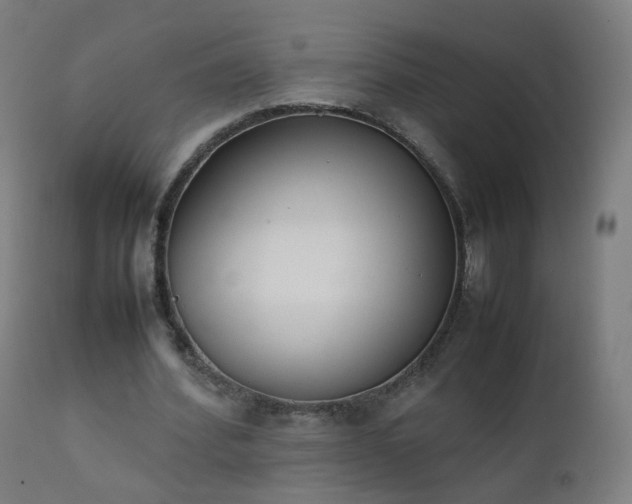 X0000111370580200907171200