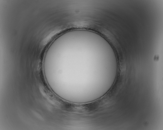 X0000111370583200907171200