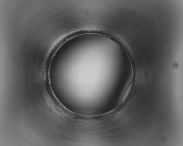 X0000111370584200907171200