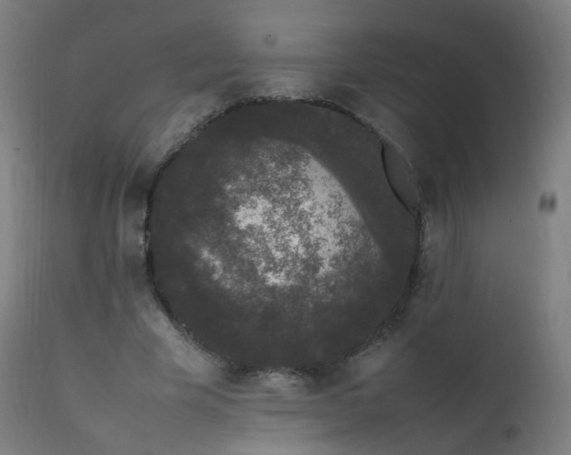 X0000111370585200907171200