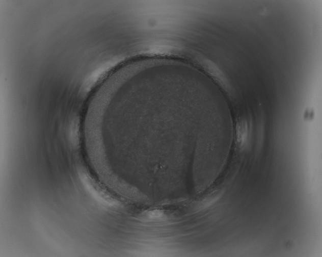 X0000111370588200907171200