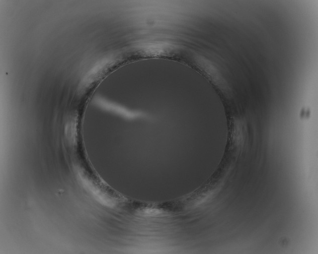 X0000111370590200907171200