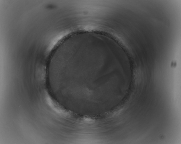 X0000111370592200907171200