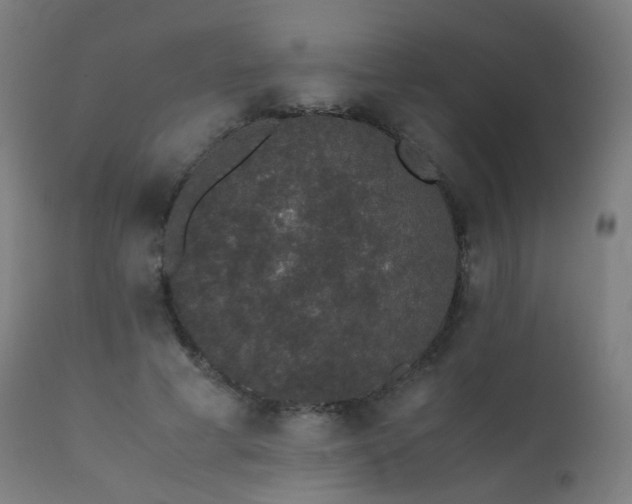 X0000111370593200907171200