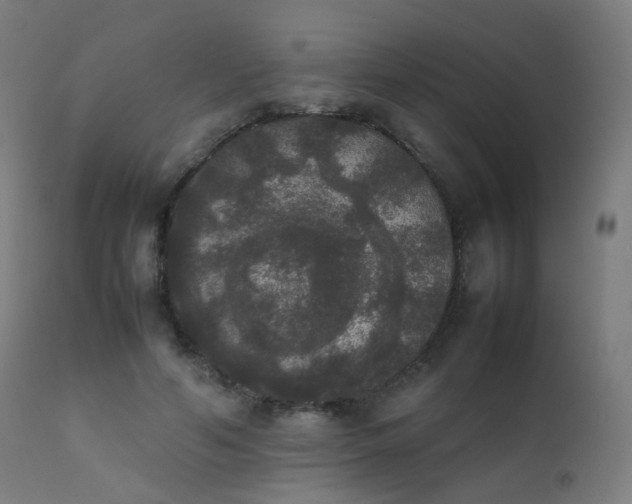 X0000111370594200907171200