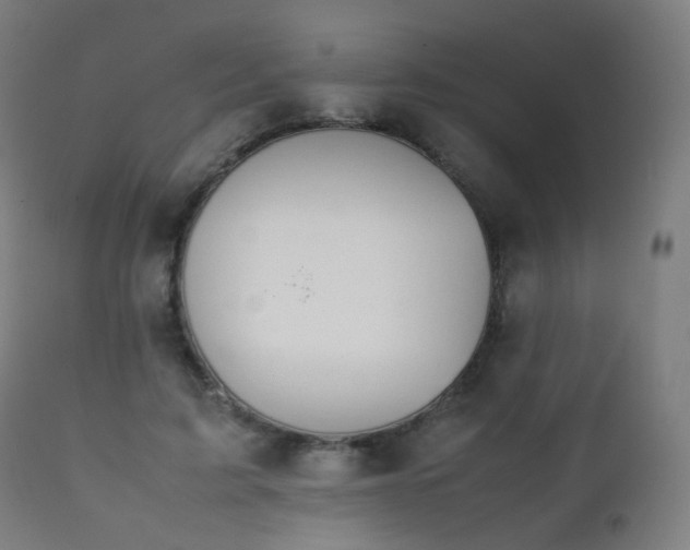 X0000111370595200907171200