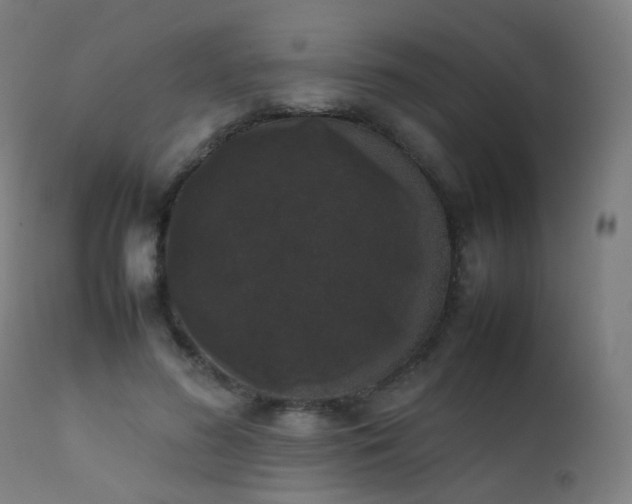 X0000111370596200907171200