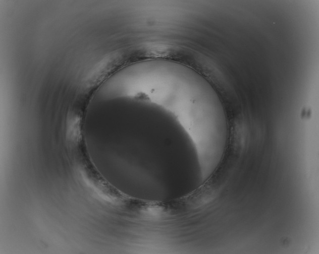 X0000111370598200907171200