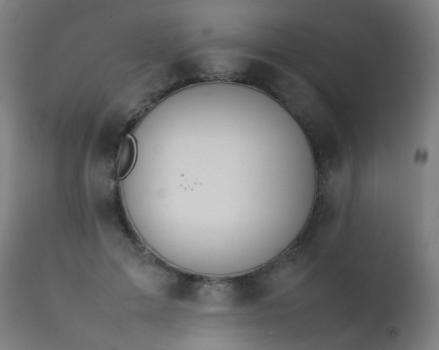 X0000111370599200907171200